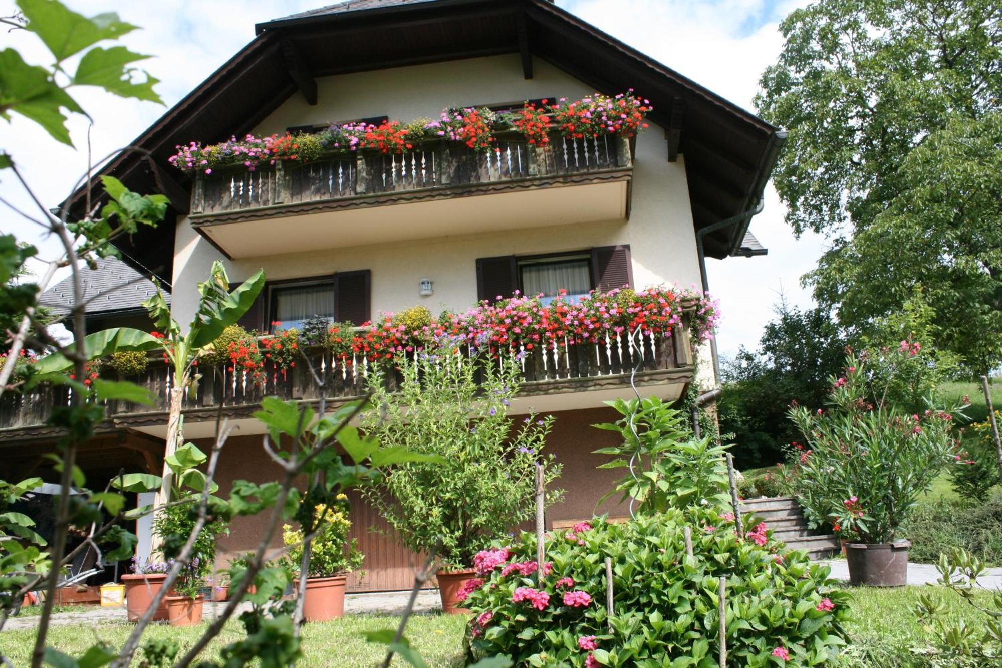 Gasthaus - Gaestehaus Schusterbauer Rein Exterior photo